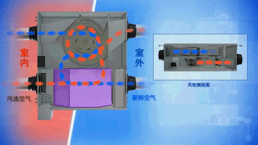 關(guān)于新風(fēng) 你必須要知道的七件事